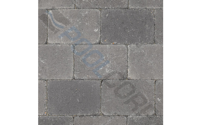 ocb-37-2650.jpg