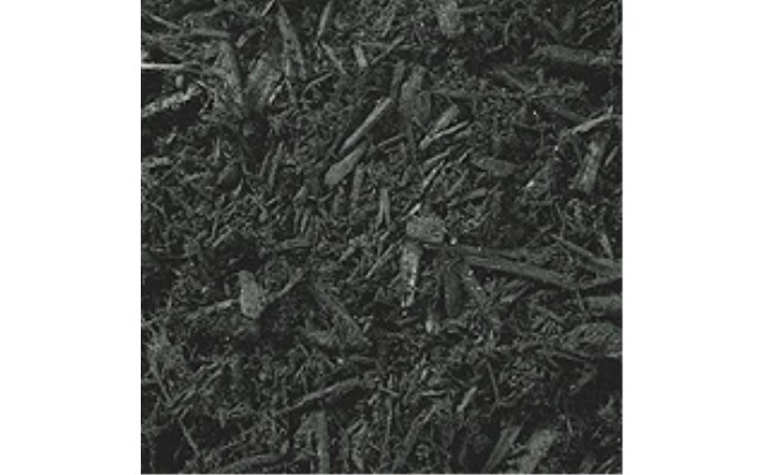 ocb-53-0004.jpg