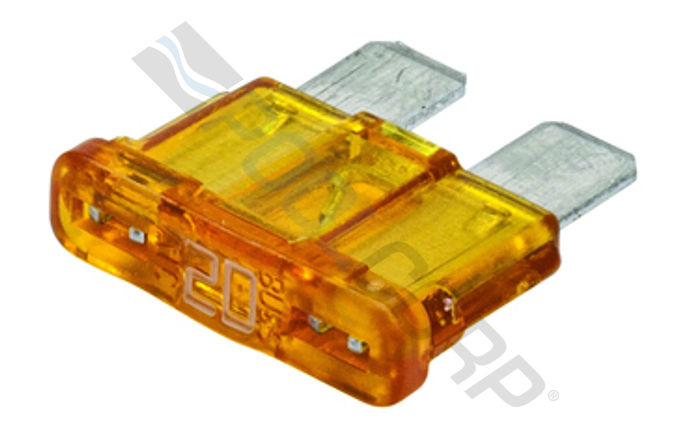org-591-1155.jpg