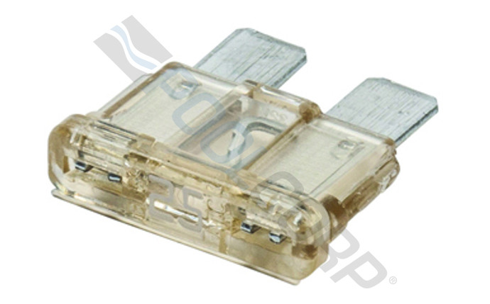 org-591-1156.jpg
