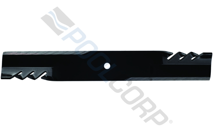 org-591-1402.jpg