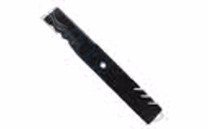 org-591-1469.jpg