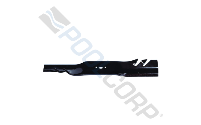 org-591-1609.jpg