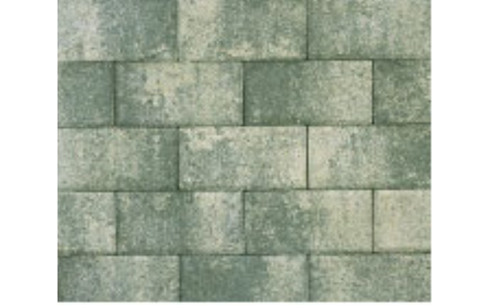 pav-37-1038.jpg