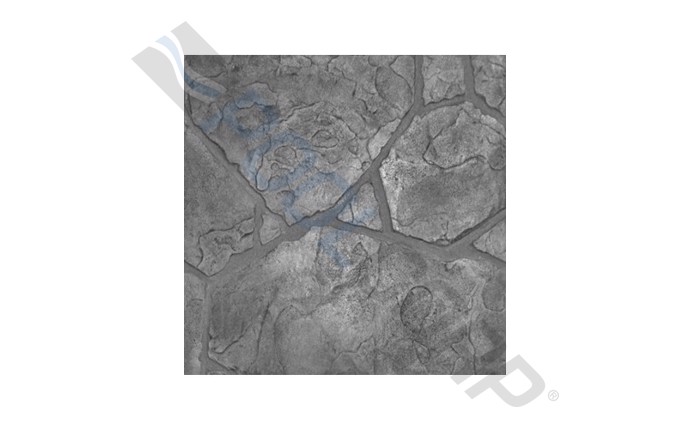 PCR-55-1832.jpg