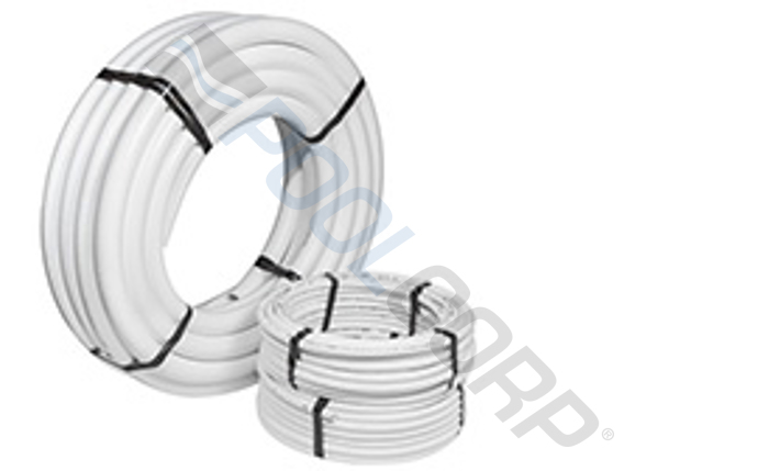 pec-56-1018.jpg