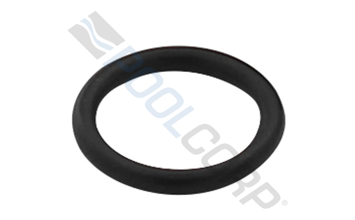 pol-201-1405.jpg