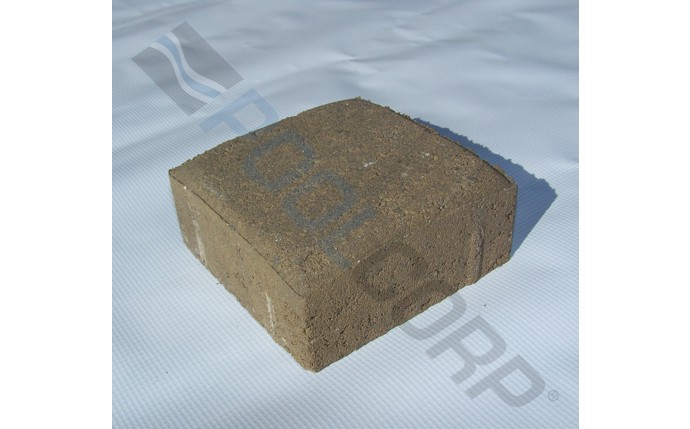 ppm-37-1005.jpg