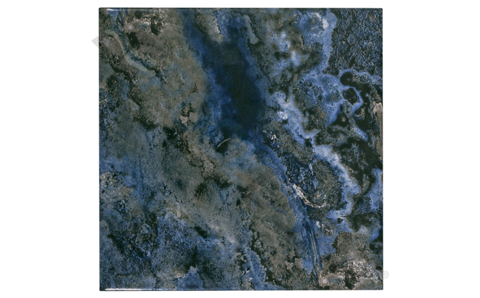 ptk-37-9750.jpg