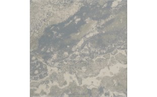 PTK-37-9755-1.jpg