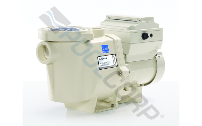 PUR-10-1020.jpg