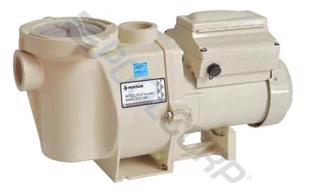 PUR-10-3101.jpg