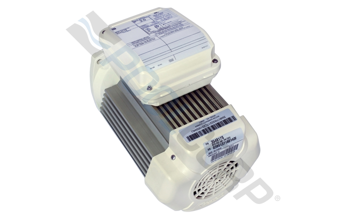 PUR-101-3603.jpg
