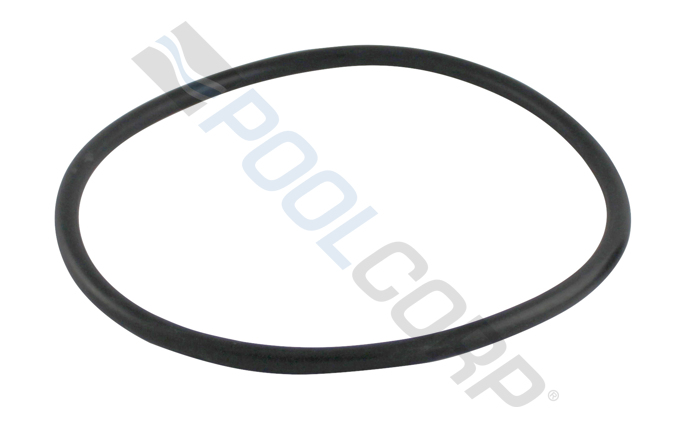PUR-101-4891.jpg
