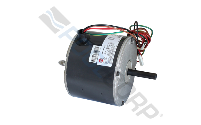 PUR-151-0289.jpg