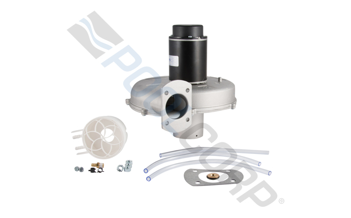 PUR-151-1100.jpg