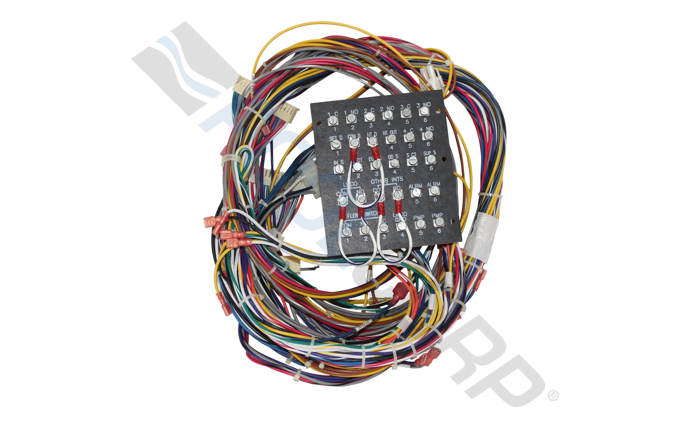 pur-151-1185.jpg