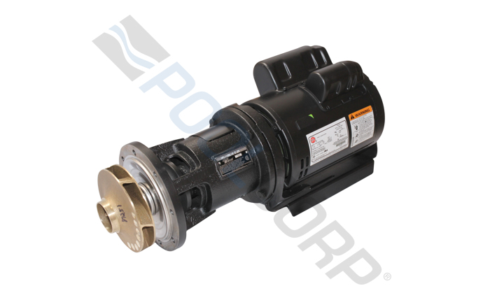 PUR-151-8504.jpg
