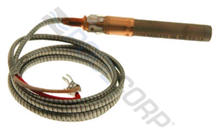 PUR-151-9673.jpg