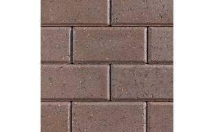PVS-37-1595-1.jpg