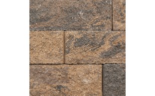 PVS-37-2011-1.jpg