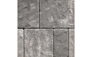 PVS-37-2048.jpg