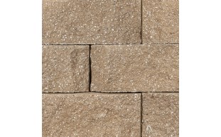POOL360 | Regal Stone Pro® 12