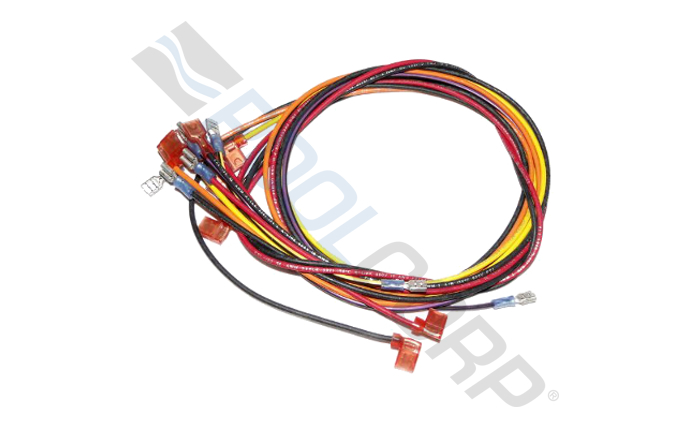 RAY-151-1312.jpg