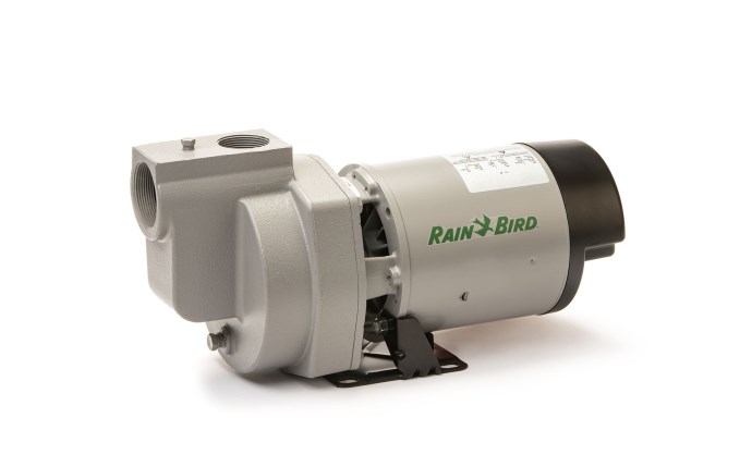 rbd-58-0286.jpg