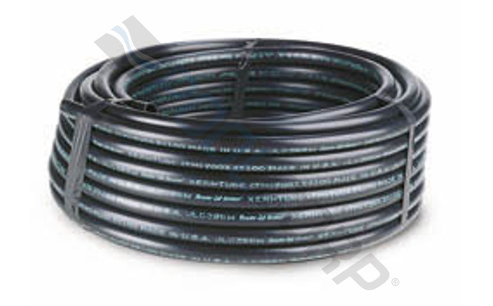 RBD-58-1494.jpg