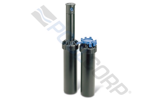 rbd-58-1784.jpg