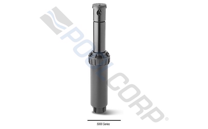 rbd-58-1785.jpg