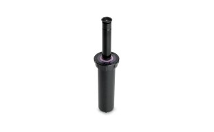 RBD-58-2242-1.jpg