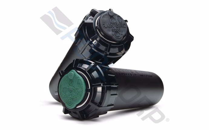 rbd-58-2408.jpg