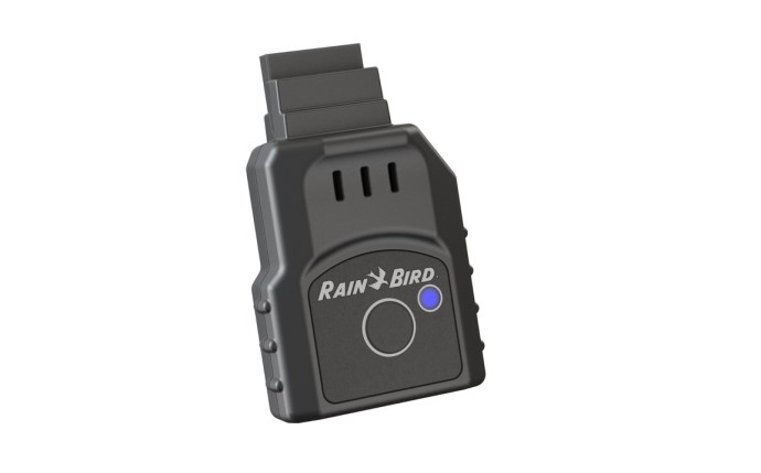 rbd-58-2438.jpg