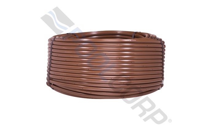 RBD-58-2442.jpg