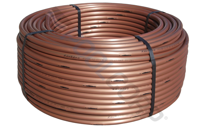 RBD-58-2466.jpg