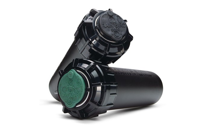 rbd-58-2504.jpg