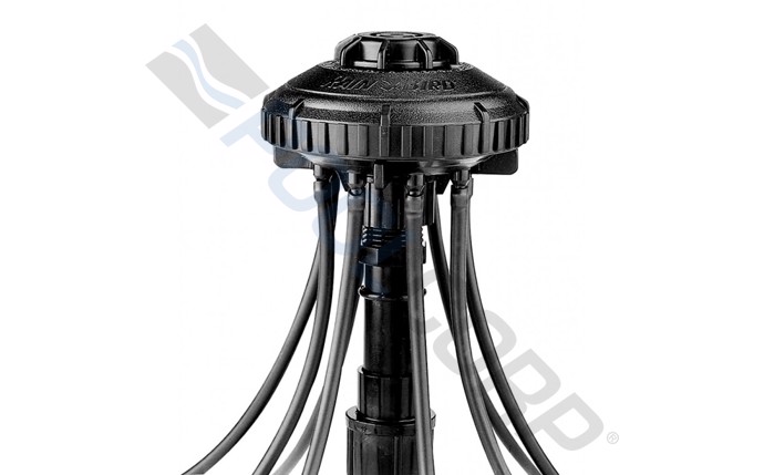 rbd-58-9637.jpg