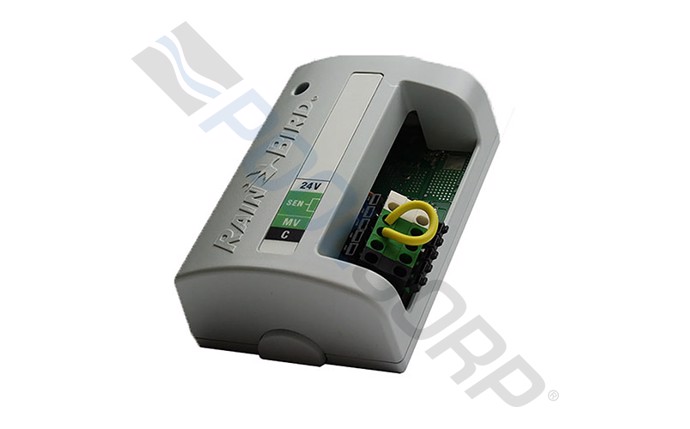 rbd-58-9677.jpg