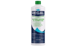 POOL360 | 1 qt Super Green Algaecide Bottle