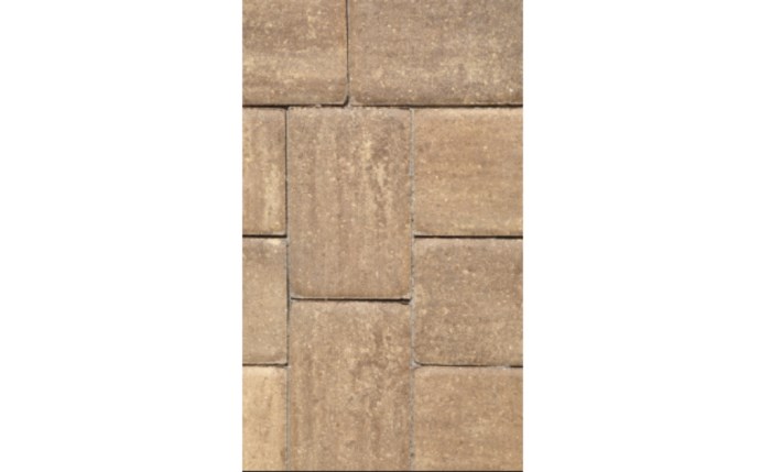 sbp-37-1376.jpg