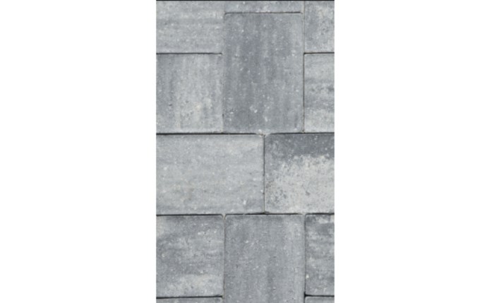 sbp-37-1377.jpg