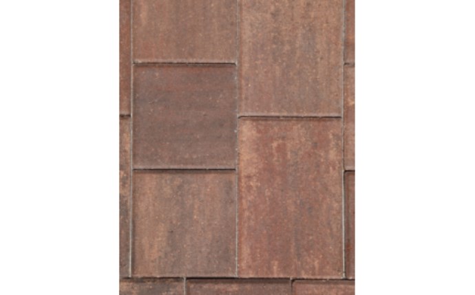 SBP-37-1508.jpg