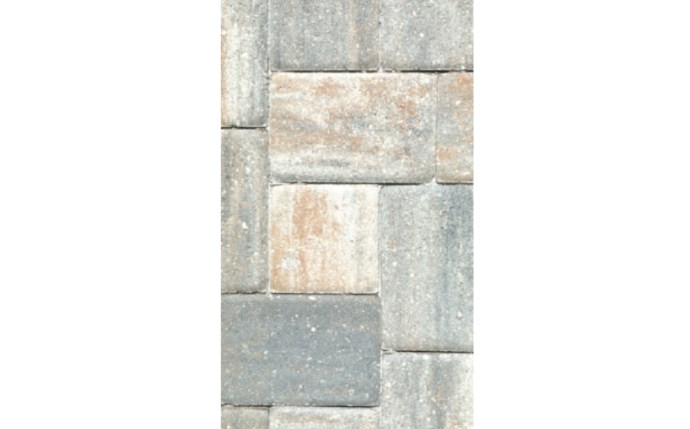 sbp-37-1561.jpg