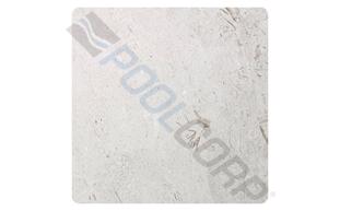 SEG-37-1055.png
