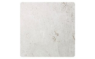 SEG-37-1096.png