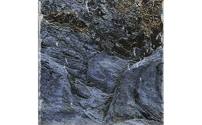 SMF-37-9201.jpg