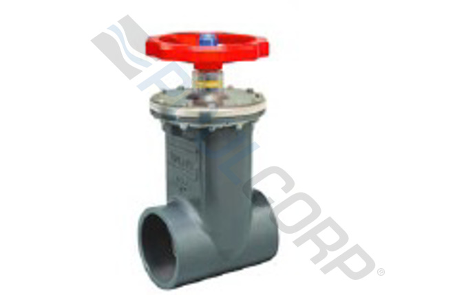 spe-56-1256.jpg