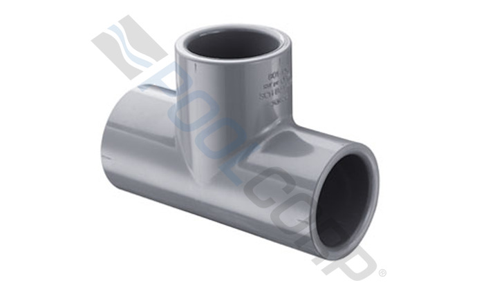 spe-56-4559.jpg